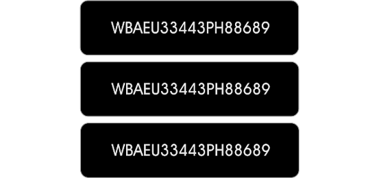 Anti-Theft Vin Label