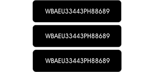 Anti-Theft Vin Label